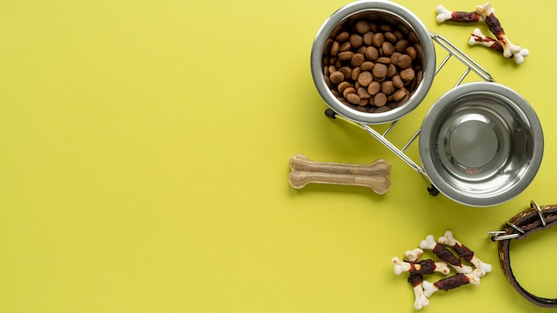 Top view on pet accessories still life with water and food bowls