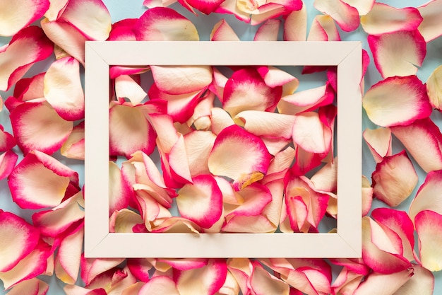 Free Photo top view of petals and frame for women's day