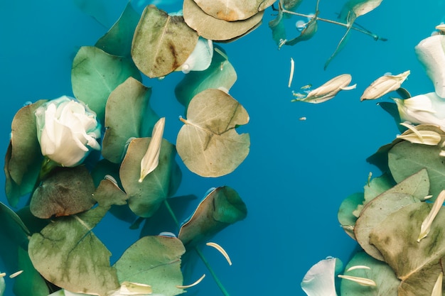 Free Photo top view petals and leaves in water