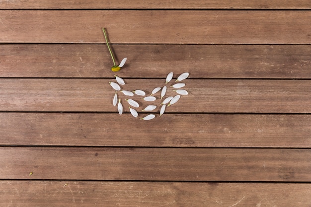 Free Photo top view of petals on wooden surface