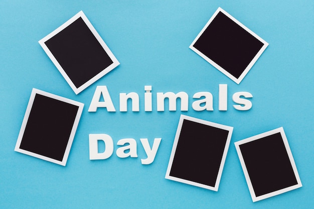 Top view of photos for animal day