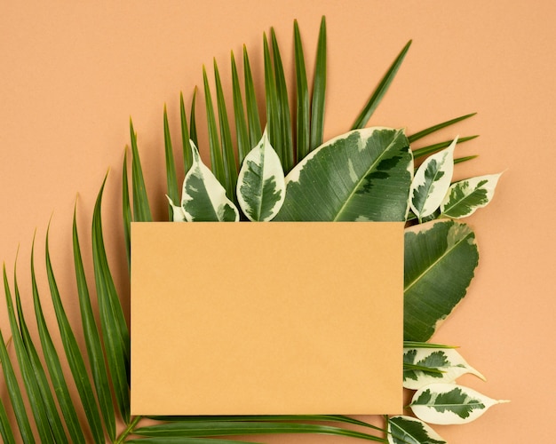 Free photo top view of piece of paper with plant leaves