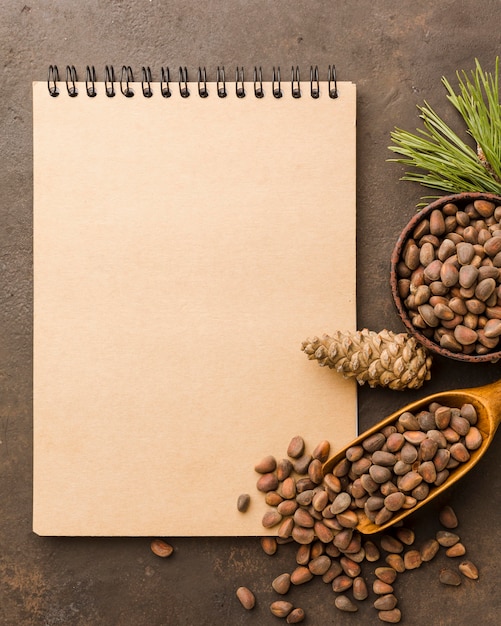 Top view pine seeds with notepad