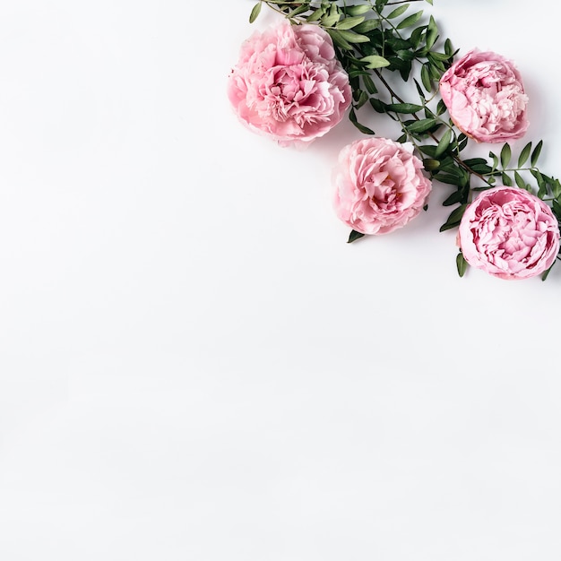 Free photo top view of pink carnations