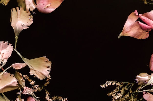 Free photo top view pink flowers in black water with copy space