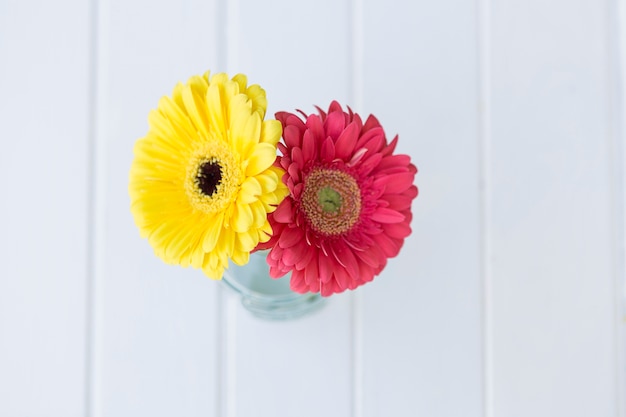 Top view of pink and yellow flowers