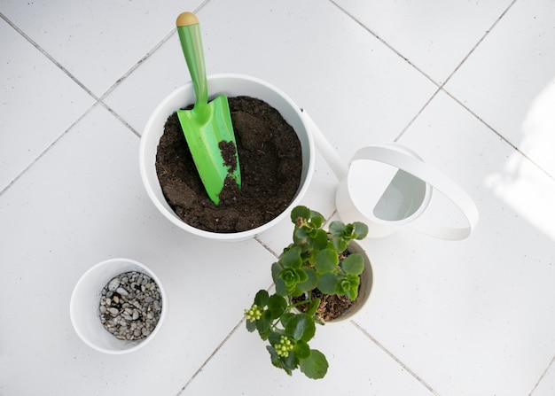 Top view plant pot with soil