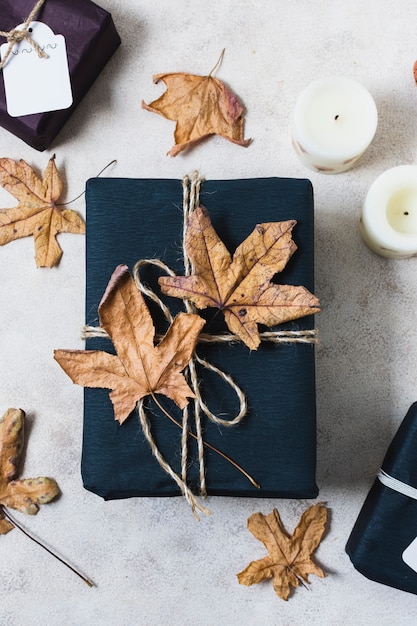 Top view of present with dead leaves