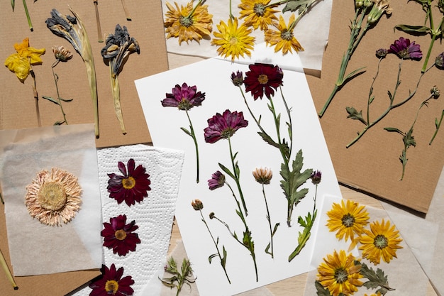 Top view of pressed flowers