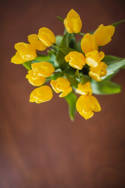 Top view of pretty yellow plants