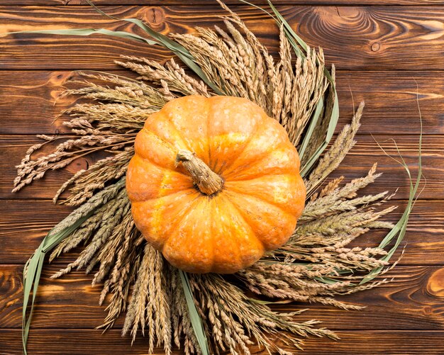 Top view pumpkin on wheat background