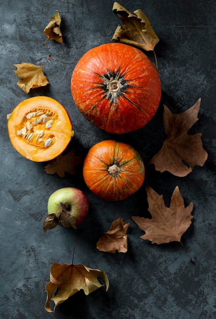 Free Photo top view pumpkins and autumn leaves