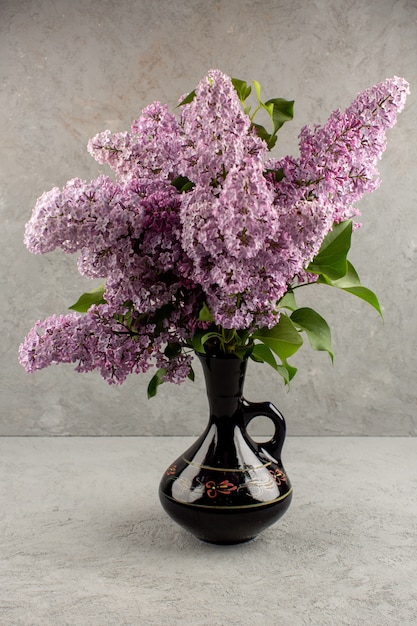 top view purple flowers beautiful alive inside black jug on the grey background