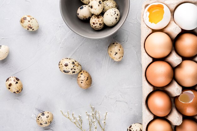 Top view quail and chicken eggs