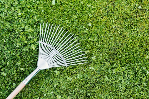 Top view rake on the grass