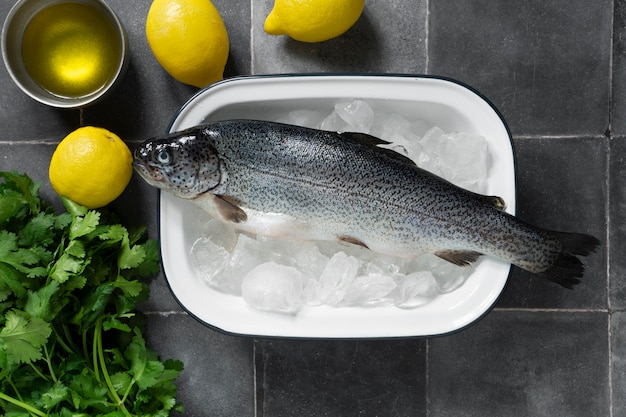 Free Photo top view raw trout still life