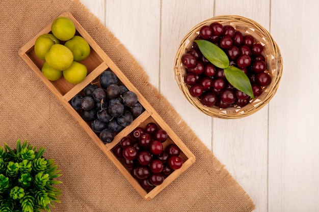 Free photo top view of red delicious cherries on a bucket with sloesgreen cherry plum on a sack cloth on a white background