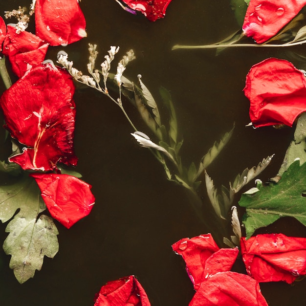 Free photo top view red petals with leaves in black water