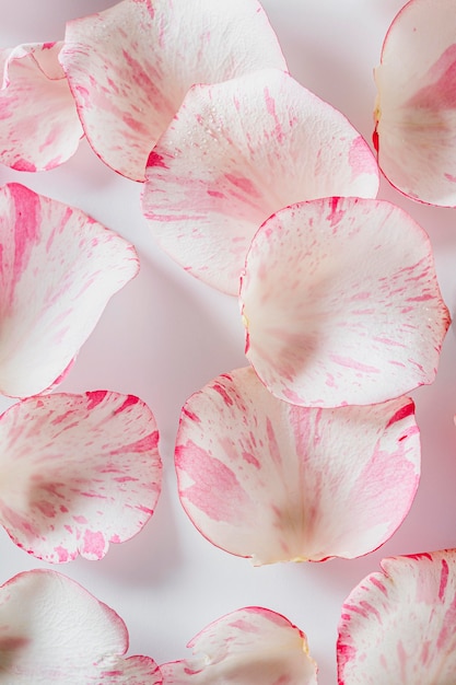 Free Photo top view rose petals background