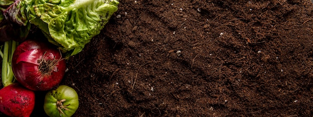 Top view of salad with onions and copy space