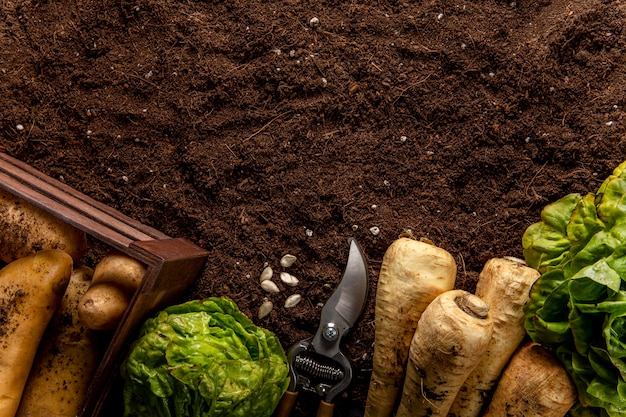 Top view of salad with veggies and copy space