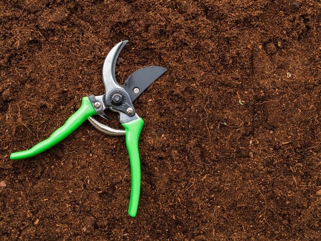 Top view scissors on soil