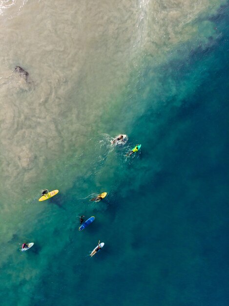 Top view shot of people with surfboards swimming in Varkala Beach