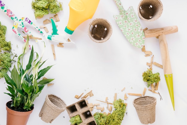 Top view of shovel; gardening fork; peat pot; potted plant; moss and spray bottle over white background