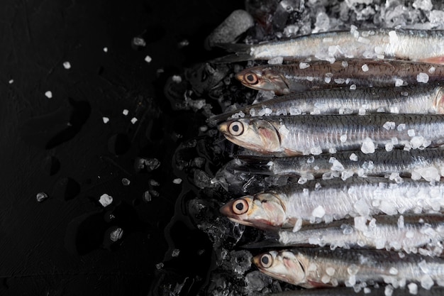 Top view of small fish with ice