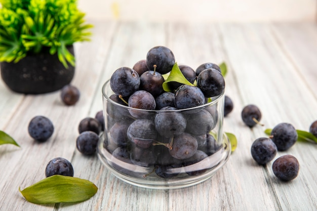 Free photo top view of the small sour blue-black sloes on a glass jar with leaves with sloes isolated on a grey wooden background