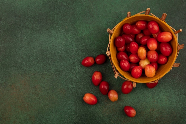 Top view of small sour cornelian cherries on a bucket on a green surface with copy space