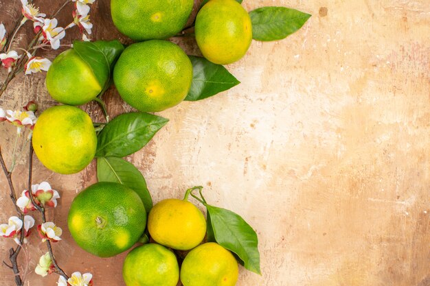 Top view sour green tangerines on light background