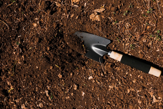 Top view spade on the ground