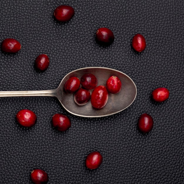 Free photo top view of spoon with cranberries