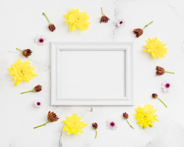 Free Photo top view of spring daisies and frame with marble background