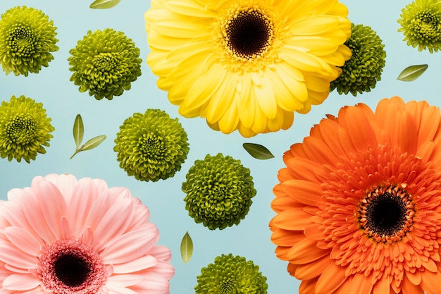 Free photo top view of spring daisies and gerberas