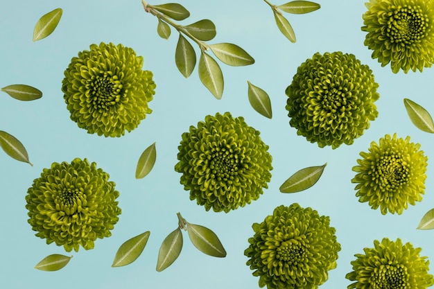 Top view of spring flowers with leaves