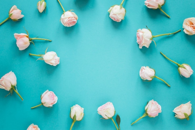 Top view spring white roses with copy space