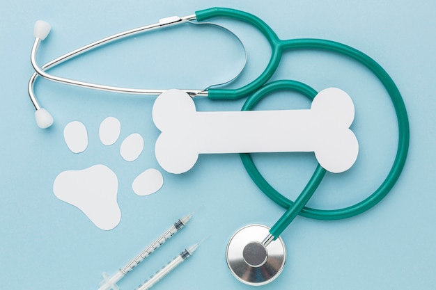 Free photo top view of stethoscope with paper bone and paw print for animal day