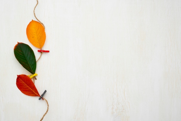 Free photo top view of string with autumn leaves and copy space