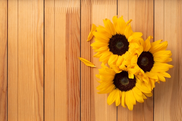 Top view of sunflowers frame with copy space