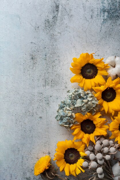 Top view of sunflowers frame with cotton