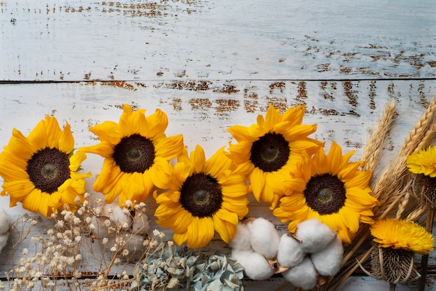 Top view of sunflowers frame with cotton