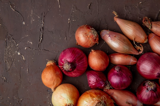 Top view of sweet yellow red and shallot onions on maroon background with copy space