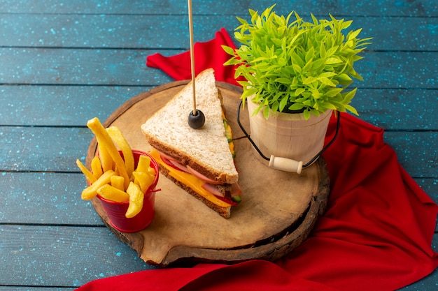 Top view tasty sandwich with cheese ham inside with french fries and green plant on the blue wooden desk sandwich food meal