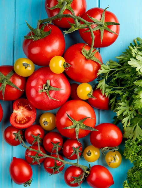 Free photo top view of tomatoes and coriander on blue surface