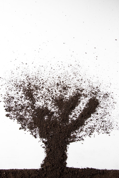 Free Photo top view of tree shape made from dark soil on a white wall