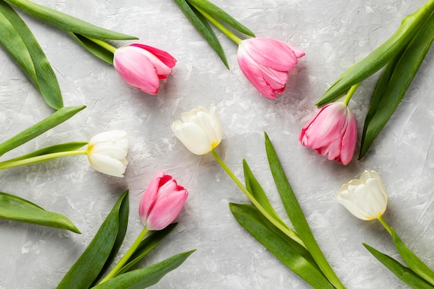 Top view tulip collection