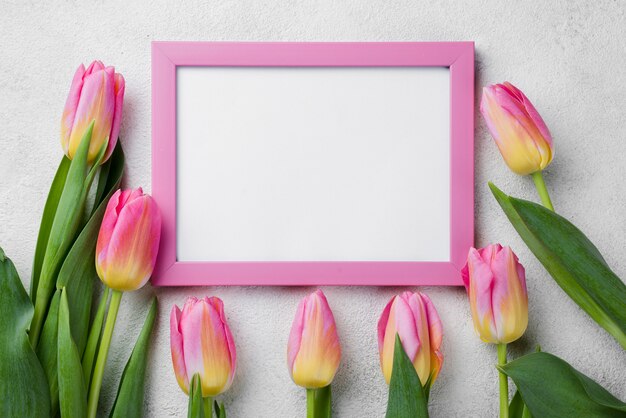 Top view tulips beside frame