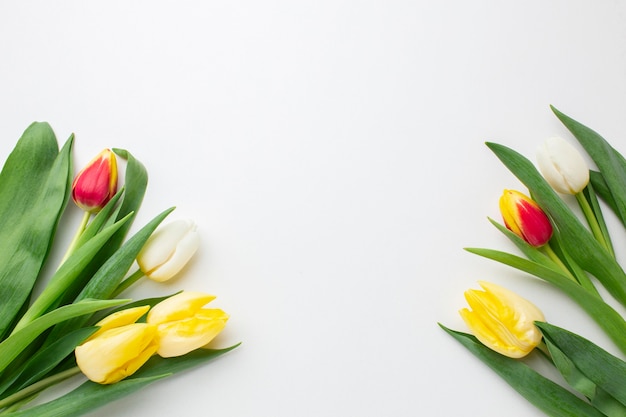 Top view tulips flowers